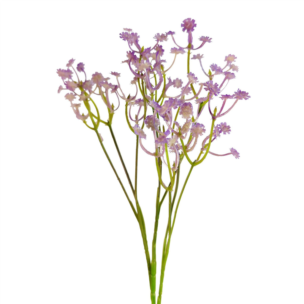 Coloured Gypsophila Sprays