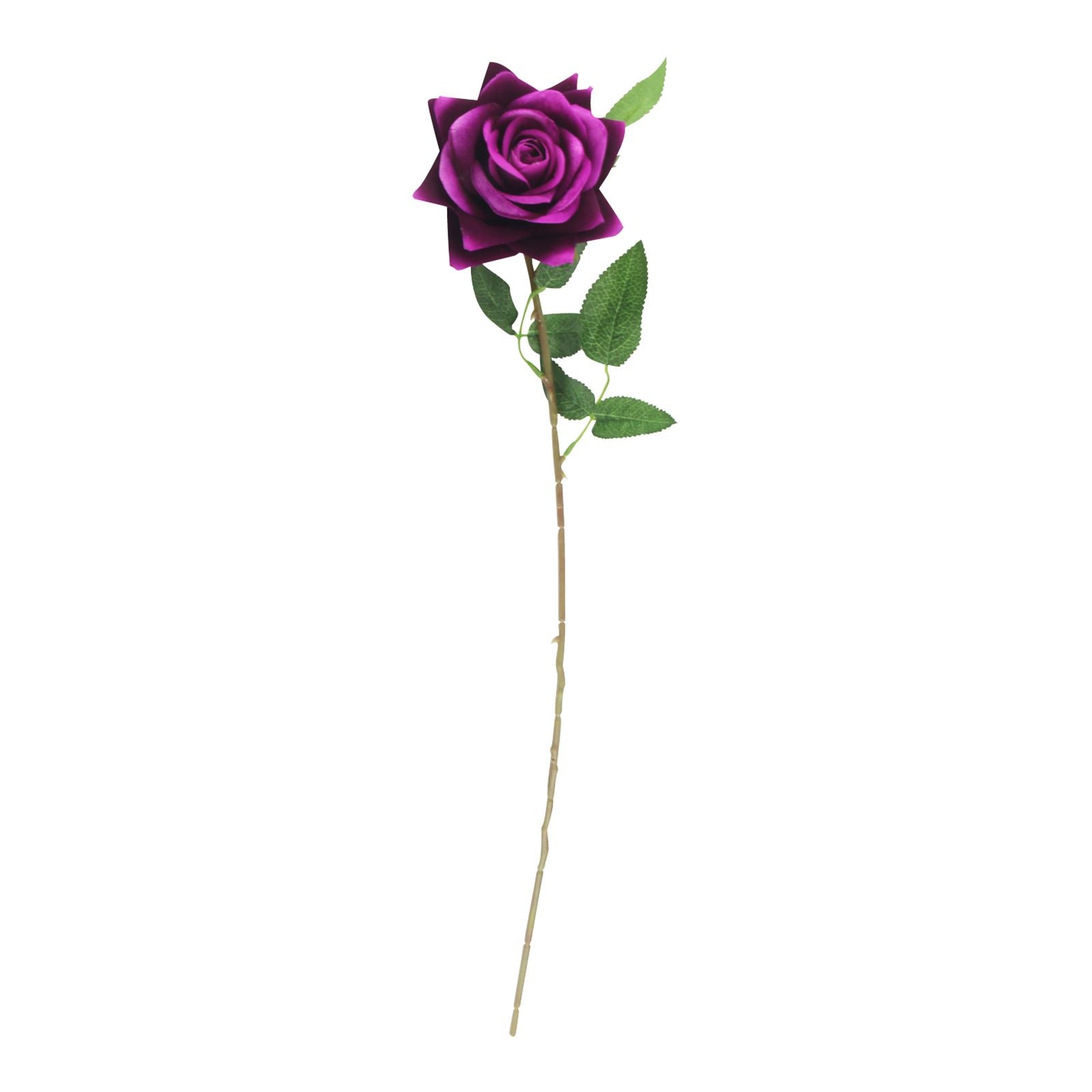 Premium Open Velvet Rose