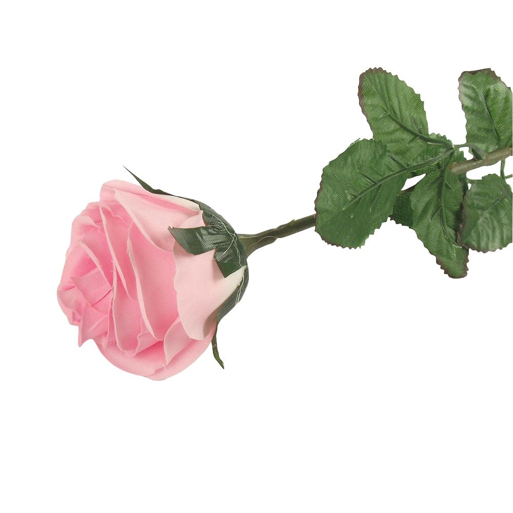 Single Premium Rose Bud