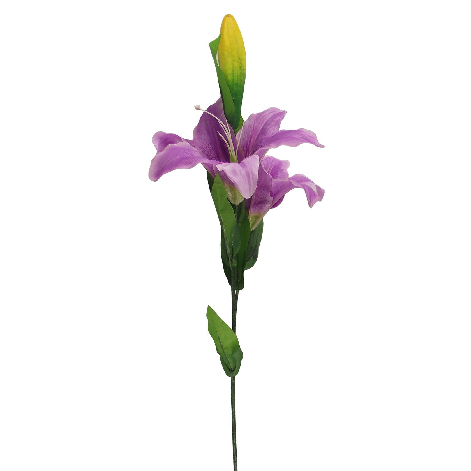 Stargazer Lily Spray
