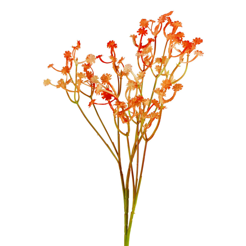 Coloured Gypsophila Sprays