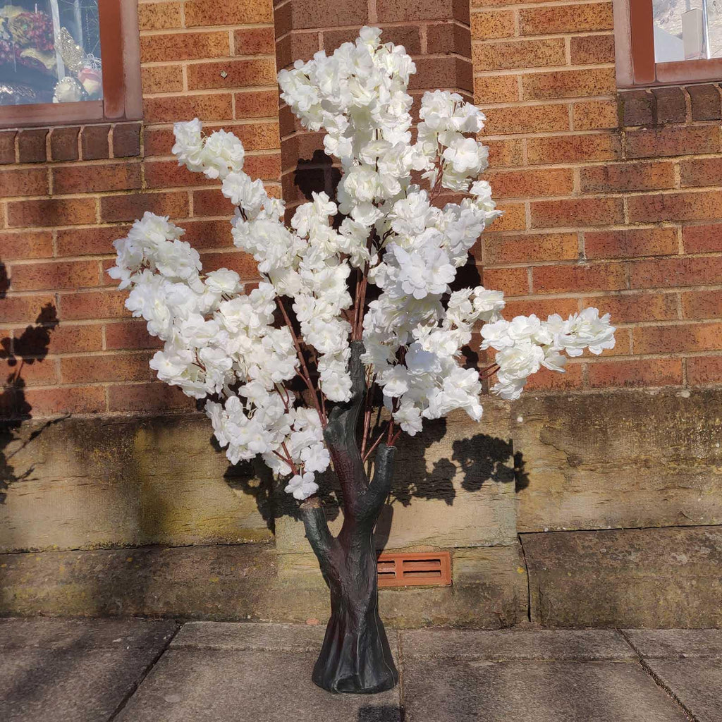 Premium Fluffy Cherry Blossom Tree