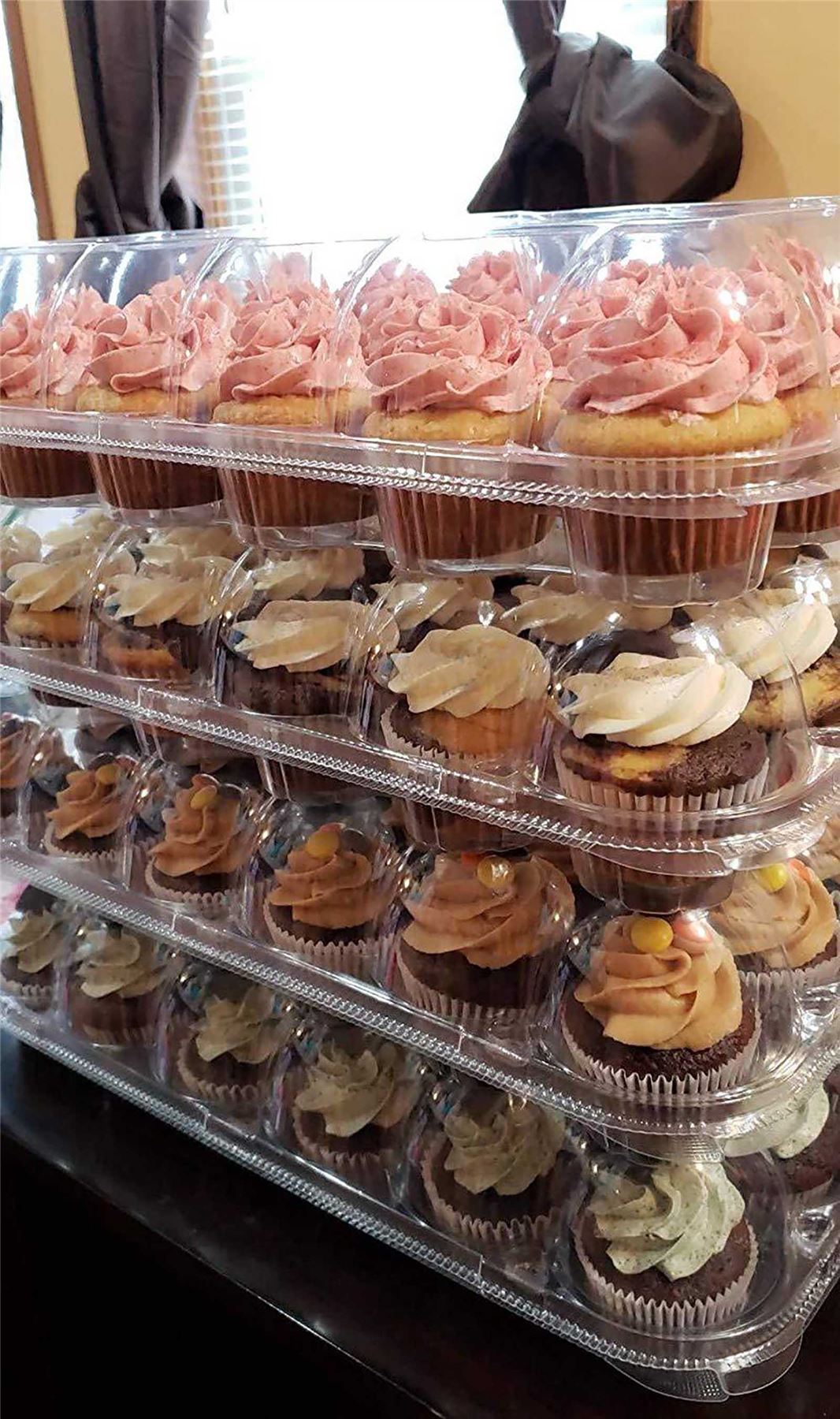 Transparent Cupcake Blister Boxes