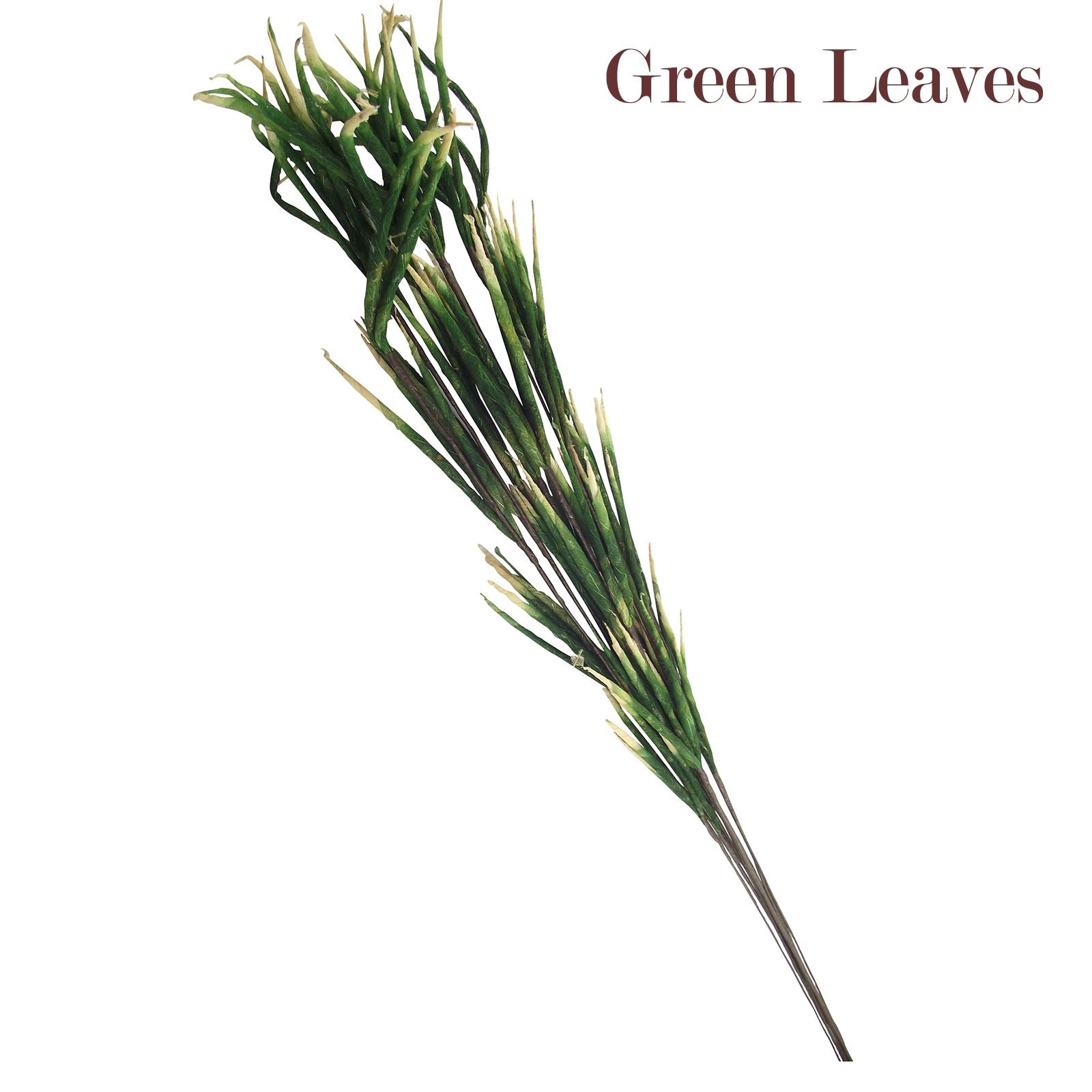 Natural Sola Tree Flower Sprays