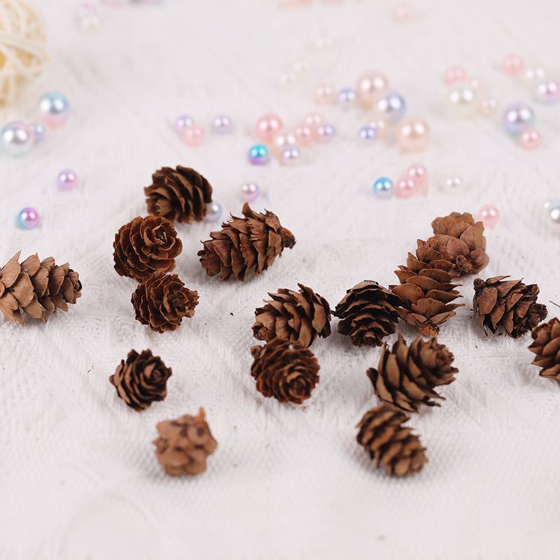 Miniature Natural Dried Baby Pinecones - Mini Pine Cones