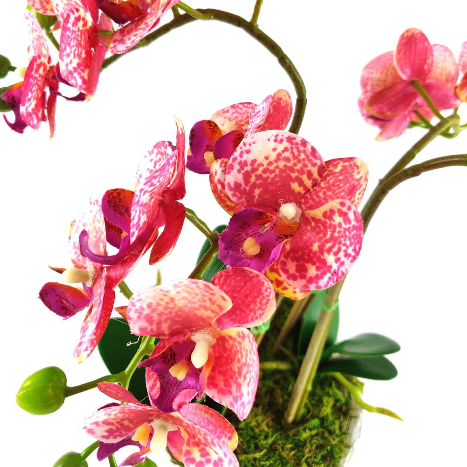 Pre-Potted Real Touch Orchid Plants