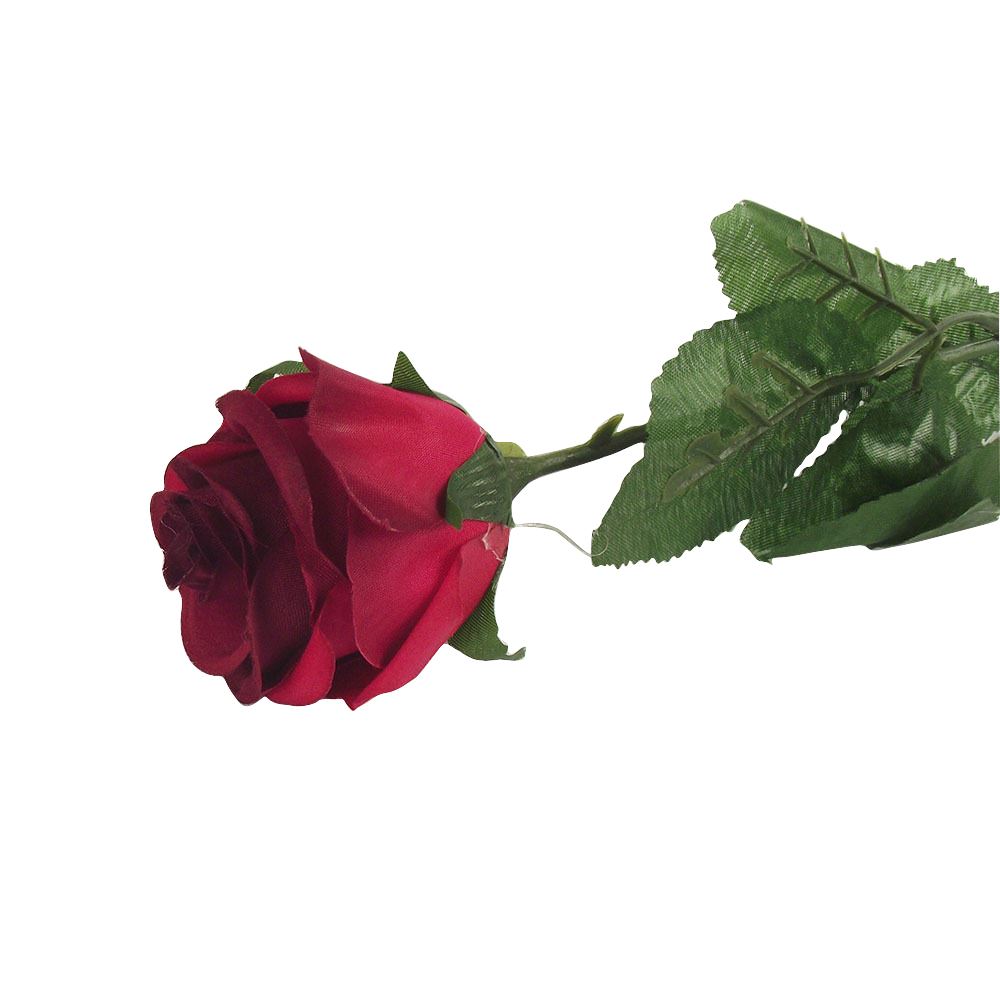 Single Premium Rose Bud