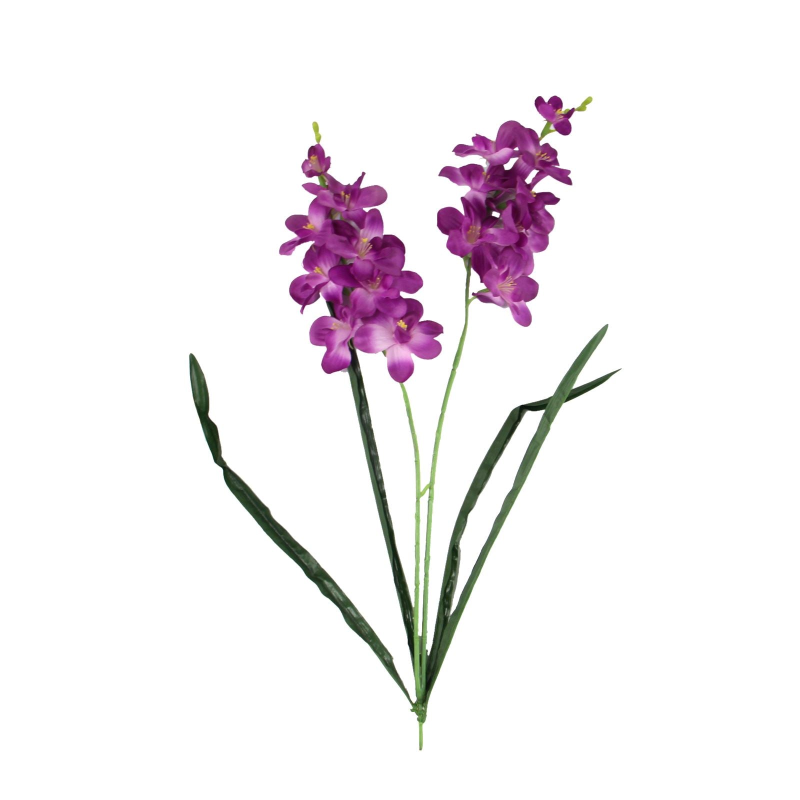 Double Stemmed Water Orchid Spray