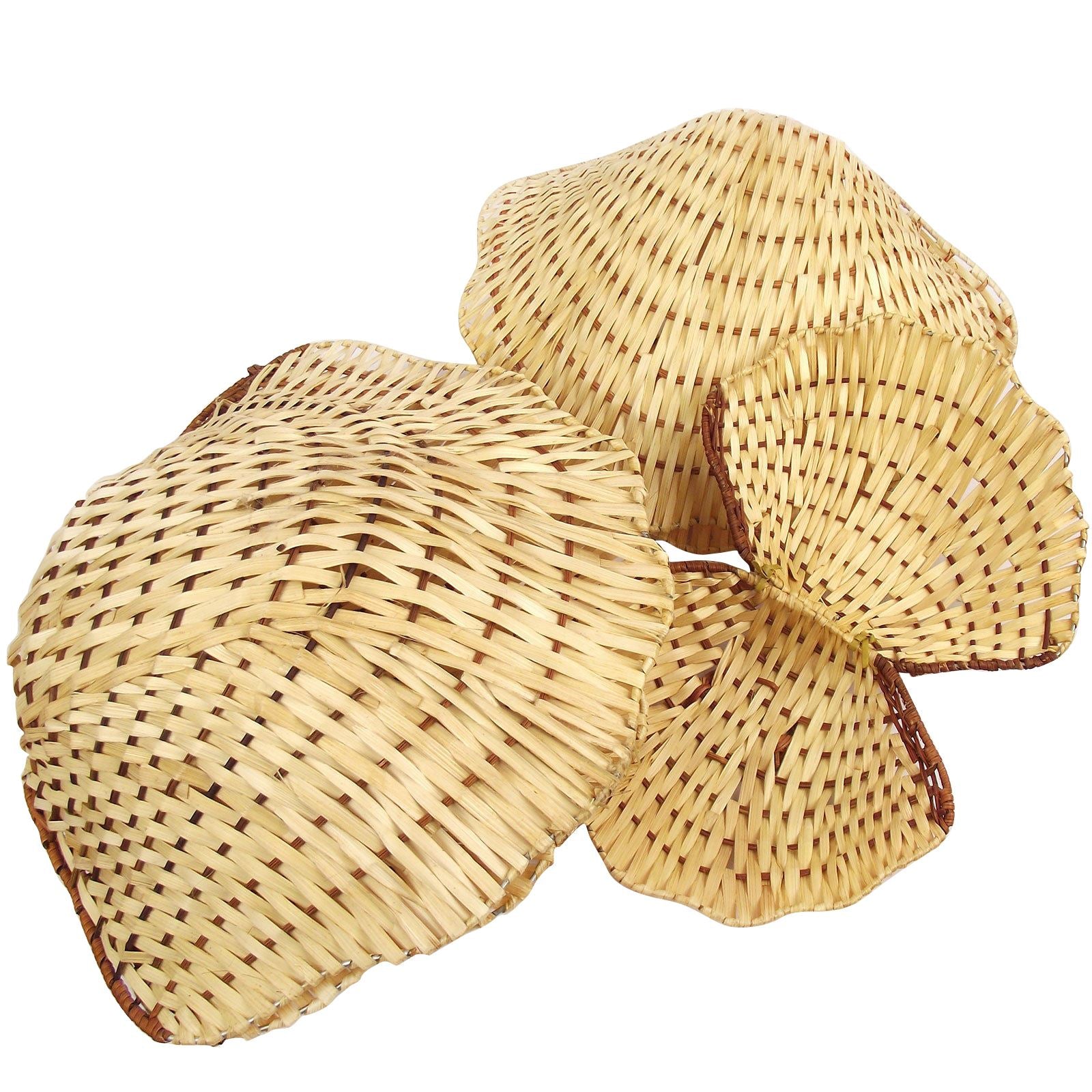 Clam Oyster Wicker Baskets Set or Single! Moses Shopping Wedding