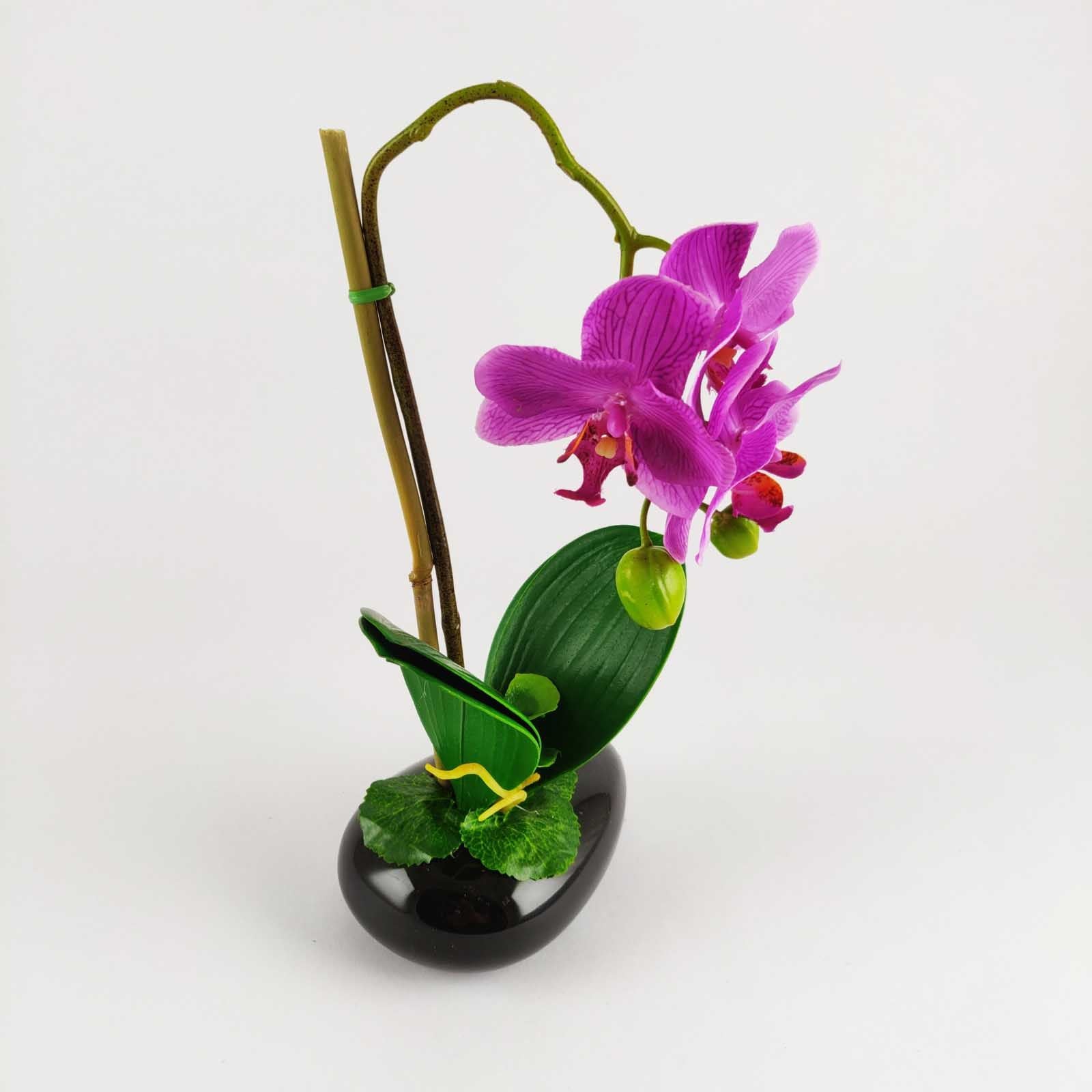 Pre-Potted Real Touch Orchid Plants