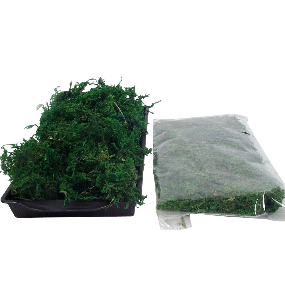 30 Grams of Natural Dried Moss