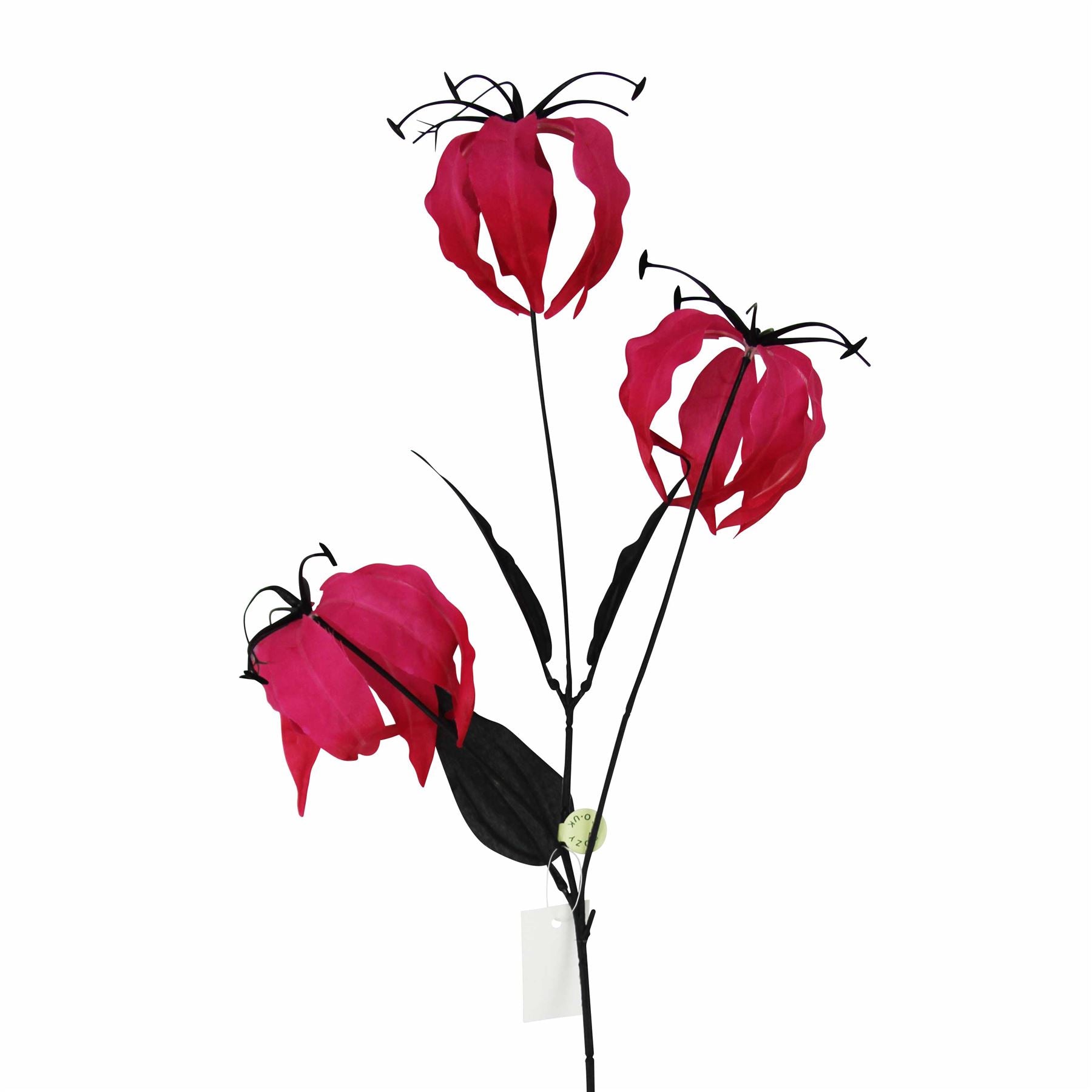 Gloriosa Spray with Black Foliage