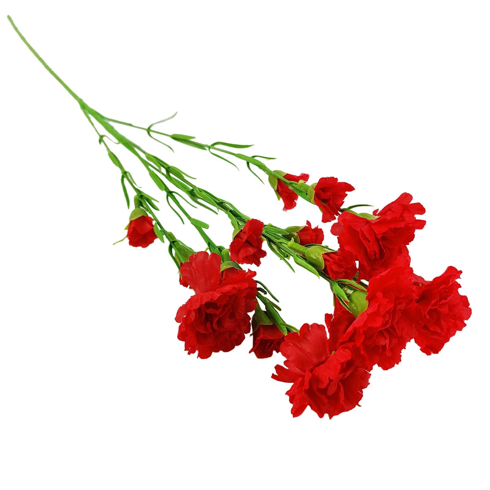 Carnation Spray