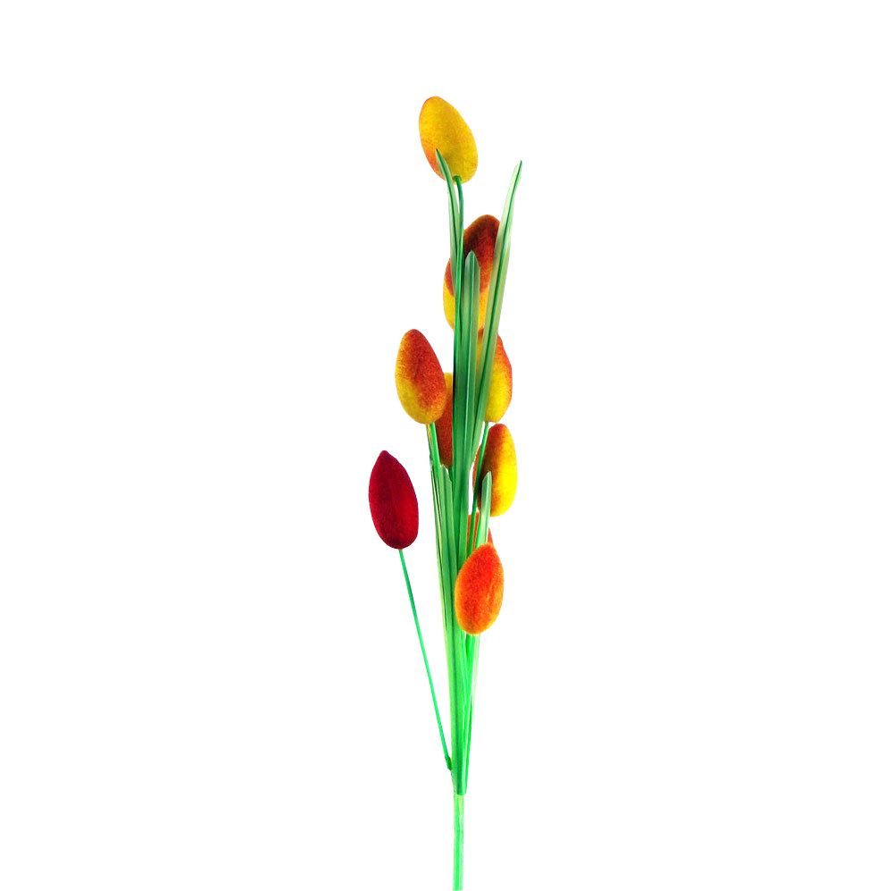Hairy Fruit Flower Spray