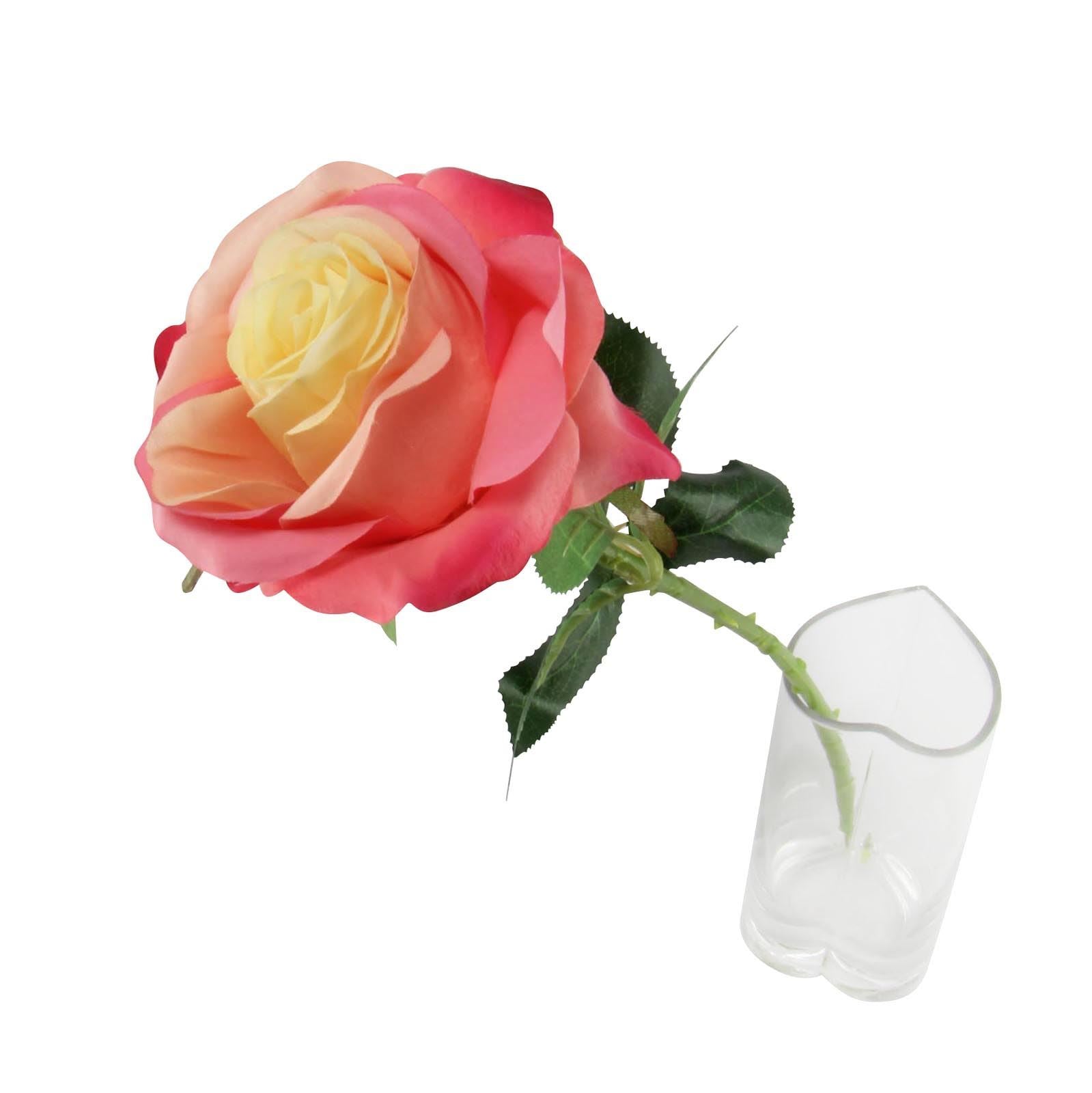 Soft Touch Premium Roses
