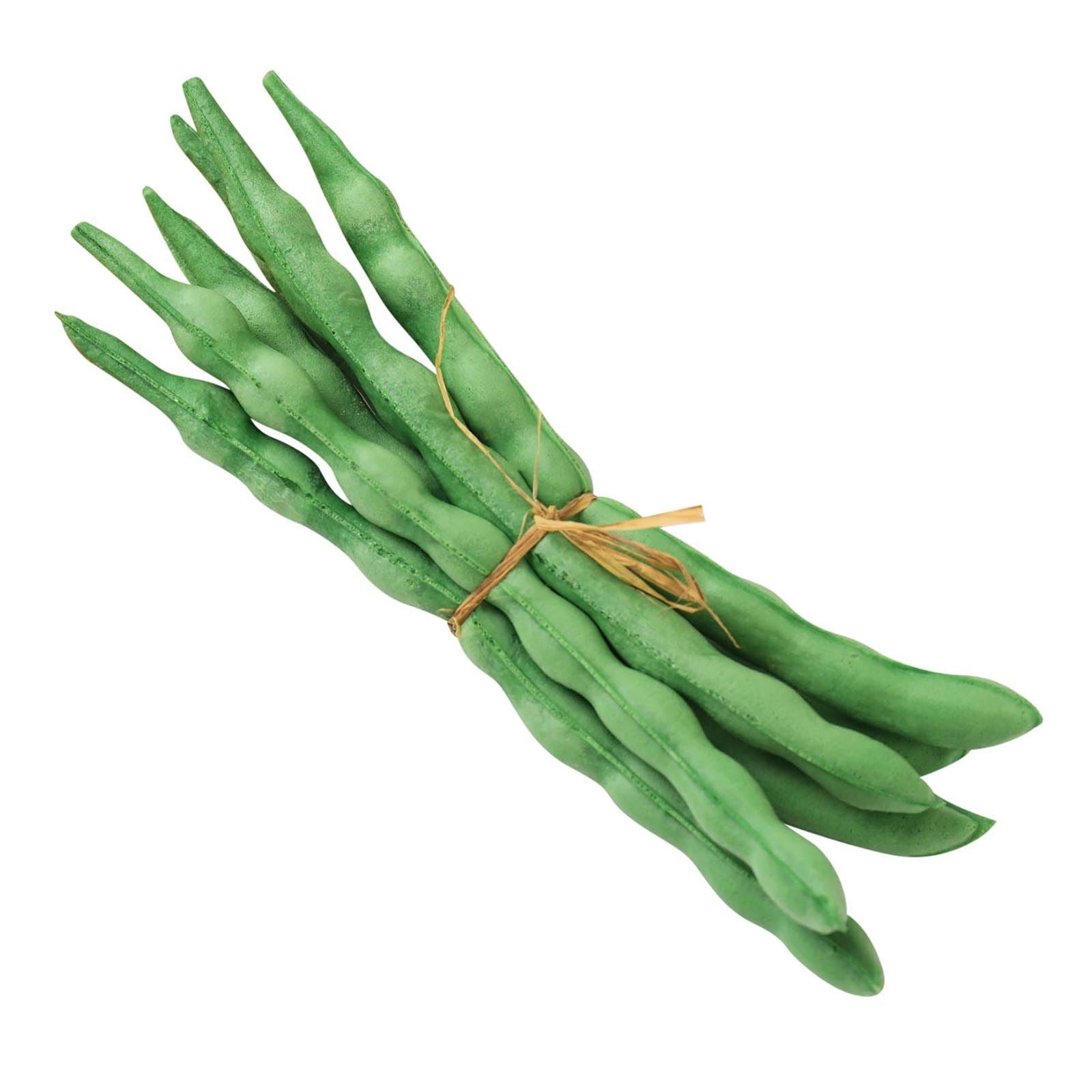 Real Touch Artificial Beans and Onion