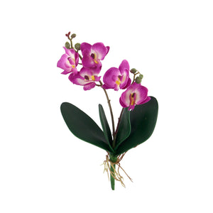 Mini Cuchi Orchid Spray