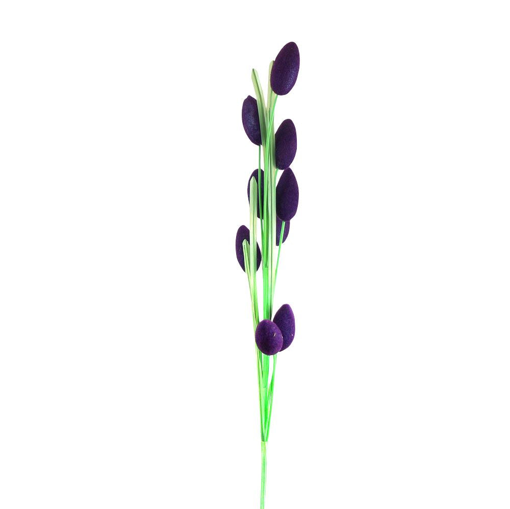 Hairy Fruit Flower Spray