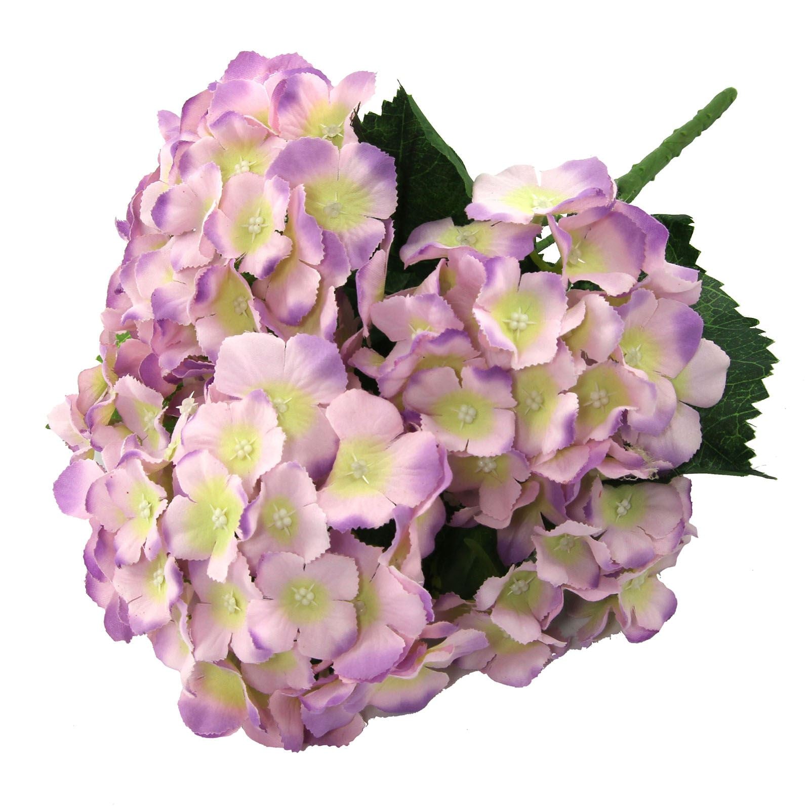 Large Hydrangea Blossom Bouquet