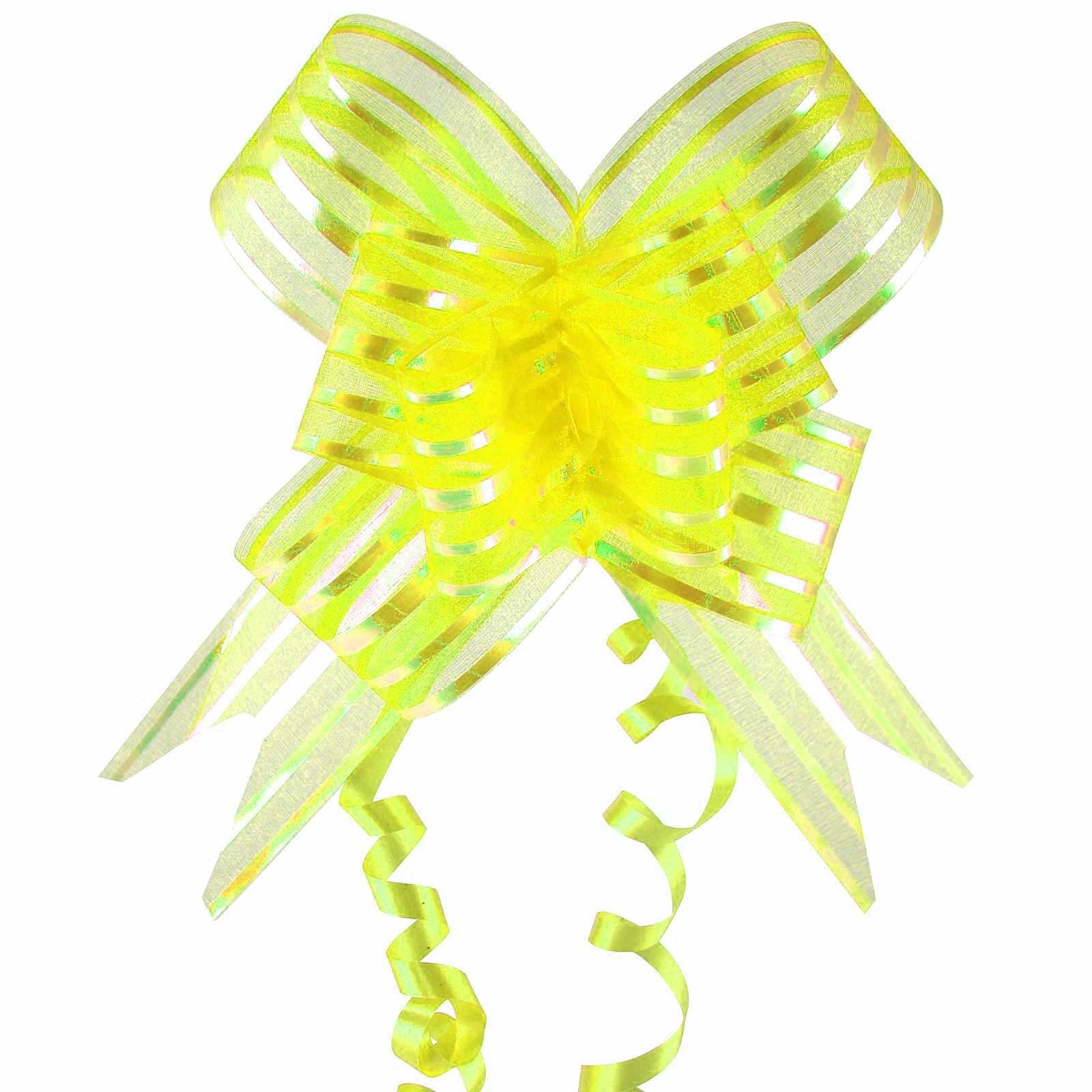 Giant 50mm Organza Butterfly Pull Bows