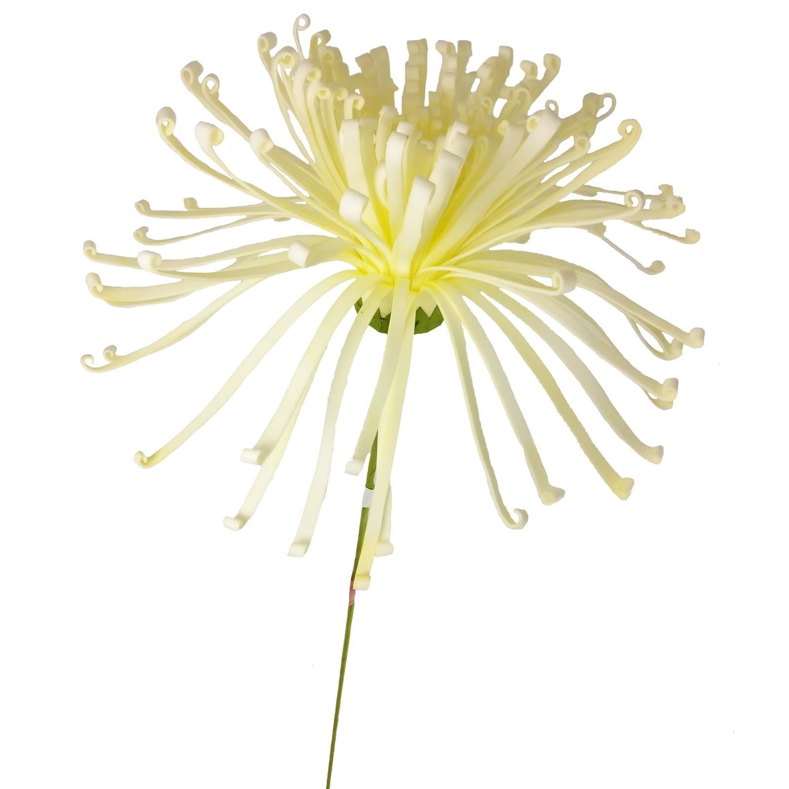 XXL Shimmy Spider Mum